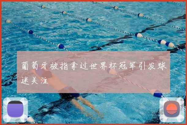 葡萄牙被指拿过世界杯冠军引发球迷关注