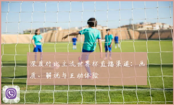 深度对比主流世界杯直播渠道：画质、解说与互动体验