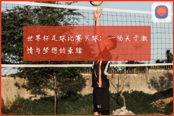 世界杯足球比赛买球:一场关于激情与梦想的豪赌