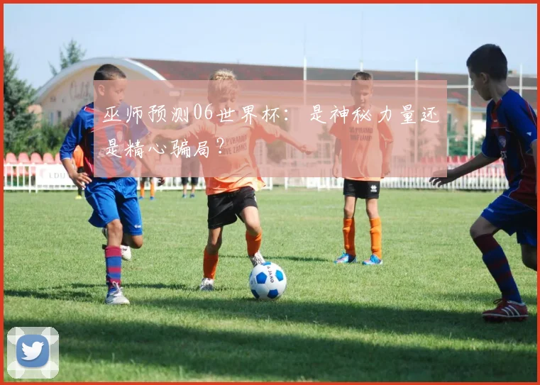 巫师预测06世界杯:是神秘力量还是精心骗局?