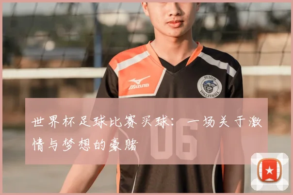 世界杯足球比赛买球:一场关于激情与梦想的豪赌