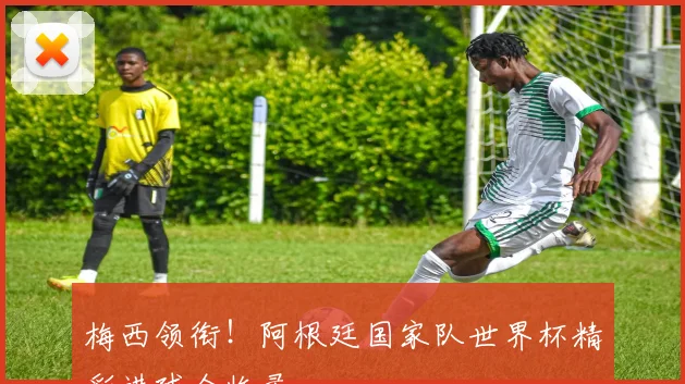 梅西领衔!阿根廷国家队世界杯精彩进球全收录